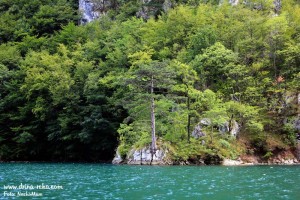 Perucac-jezero-Kanjom-s-(23)