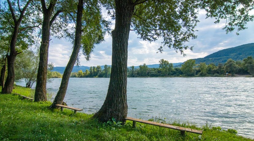 Reka Drina Flora I Fauna Odmor Pored Reke Drine Bajina Bašta