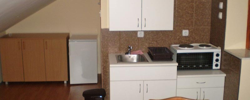 vila-konstantinovic-apartman-3-s4