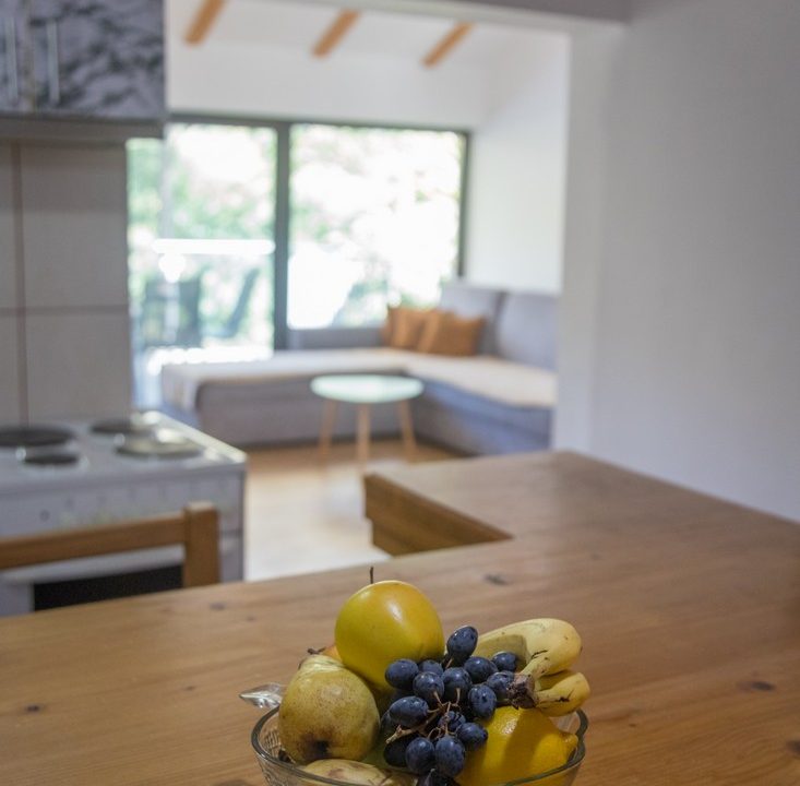 vila-dom-drina-bajina-bašta-smeštaj (79)