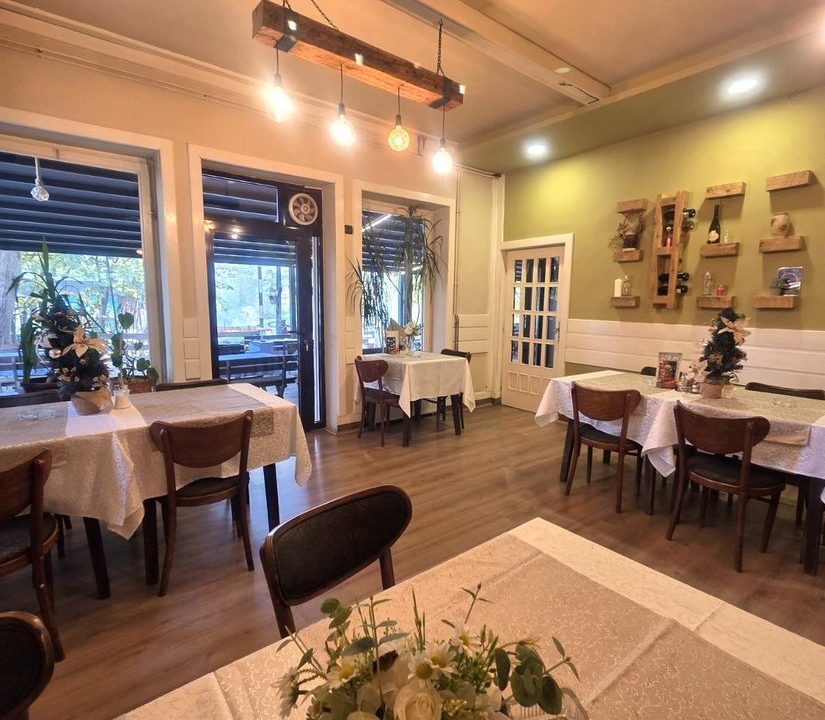 Restoran-Dve-Lipe-Bajina Bašta (8)