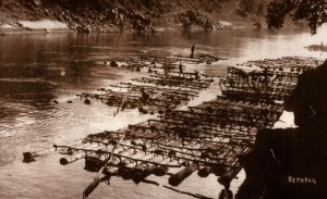 drina-splavarenje-2