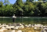reka-drina-odmor-s10