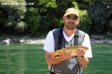 reka-drina-odmor-s8