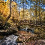 manastir raća i šetna staza rača lađevac (24)