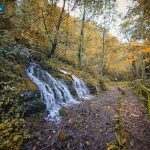 manastir raća i šetna staza rača lađevac (40)