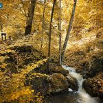 manastir raća i šetna staza rača lađevac (44)