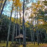 manastir raća i šetna staza rača lađevac (69)